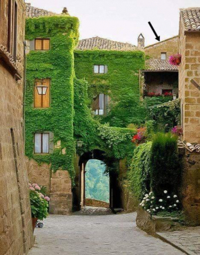 Gerani Rossi Bagnoregio